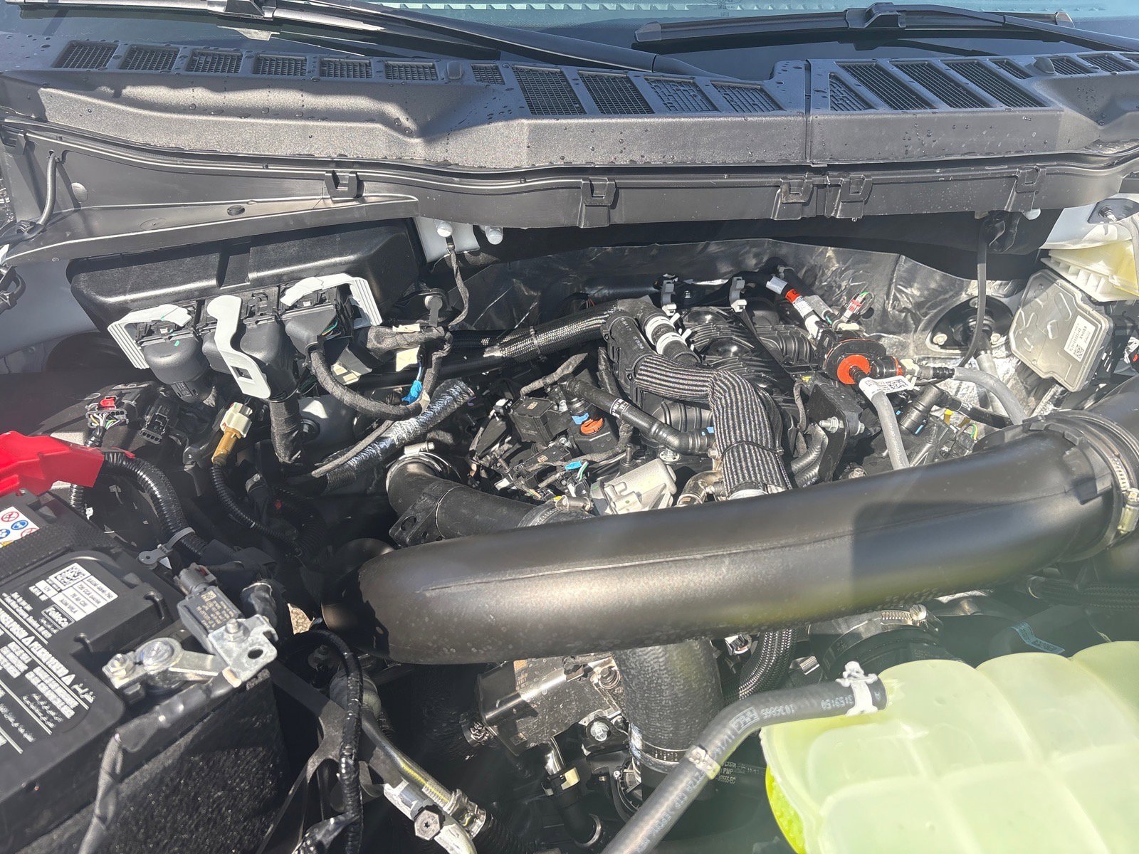 New 2026 Ford F150 XL RWD image 19