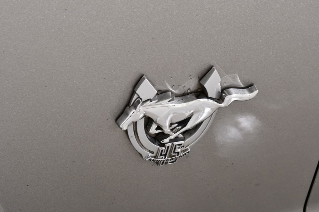 Used 2009 Ford Mustang GT Premium RWD image 19