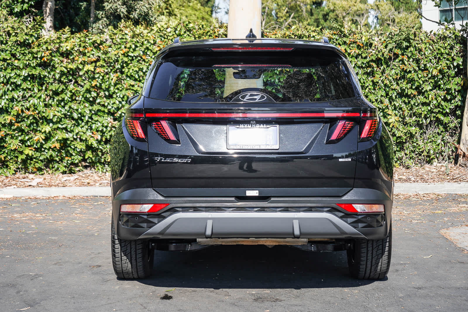 Used 2024 Hyundai Tucson Limited AWD/4WD image 5