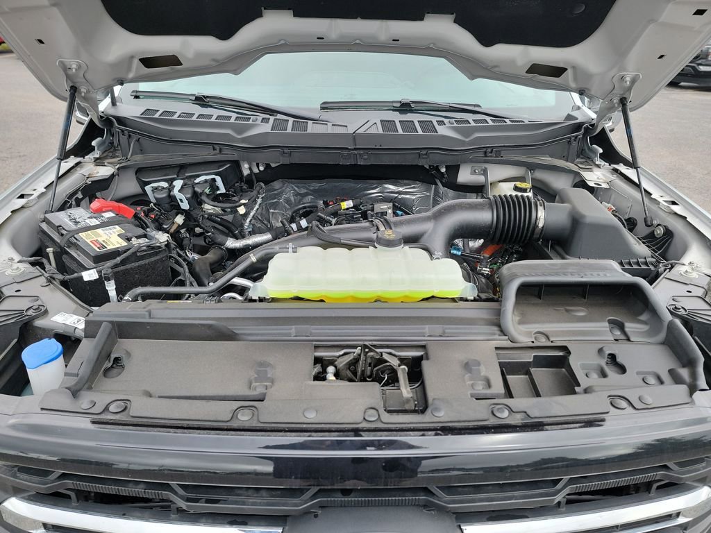 New 2025 Ford F150 XLT w/ Equipment Group 302A MID image 22