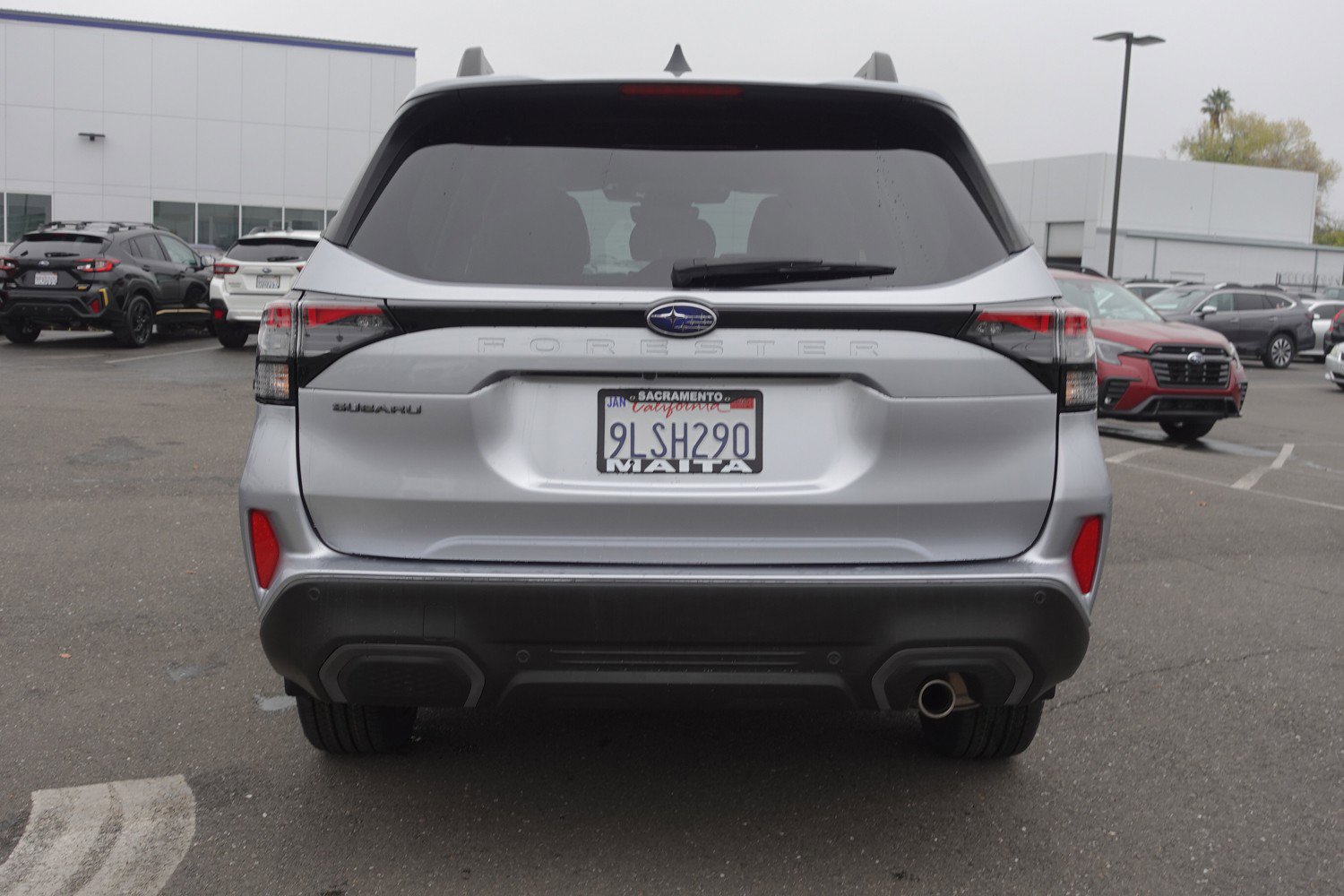 Certified 2025 Subaru Forester Limited image 6