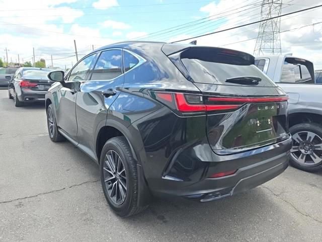 Used 2024 Lexus NX 350 AWD w/ Cold Area Package image 6