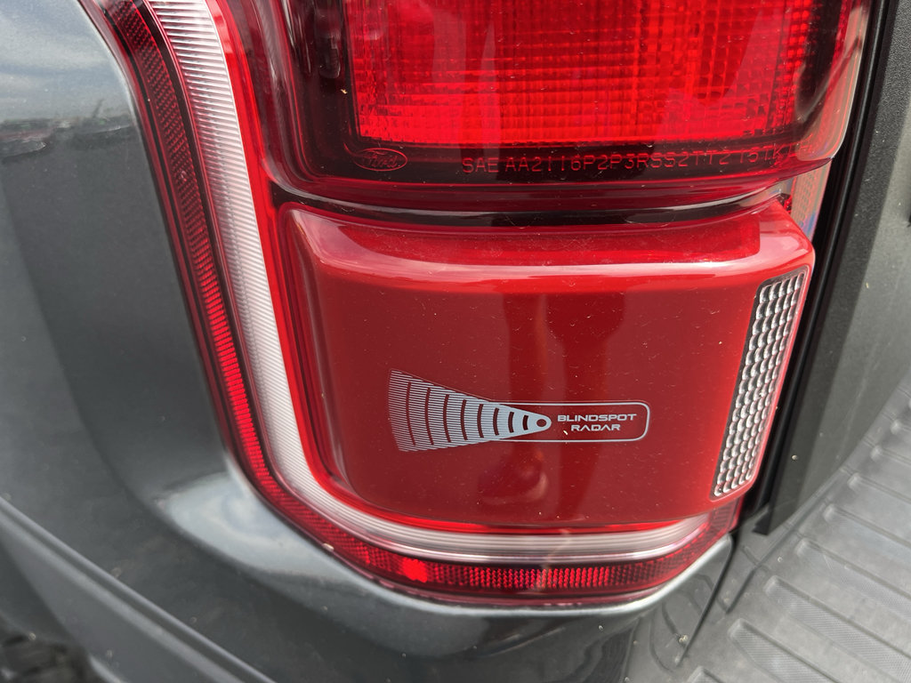 Used 2019 Ford F150 Raptor w/ Equipment Group 802A Luxury AWD/4WD image 13
