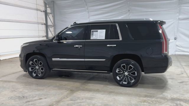 Certified 2020 Cadillac Escalade Platinum image 6