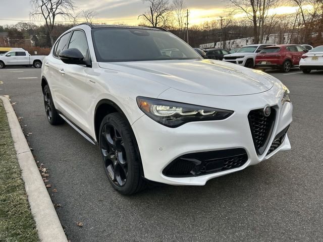 New 2025 Alfa Romeo Stelvio Sprint image 2