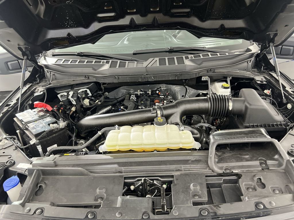 Used 2025 Ford F150 XLT w/ Equipment Group 301A Standard image 29