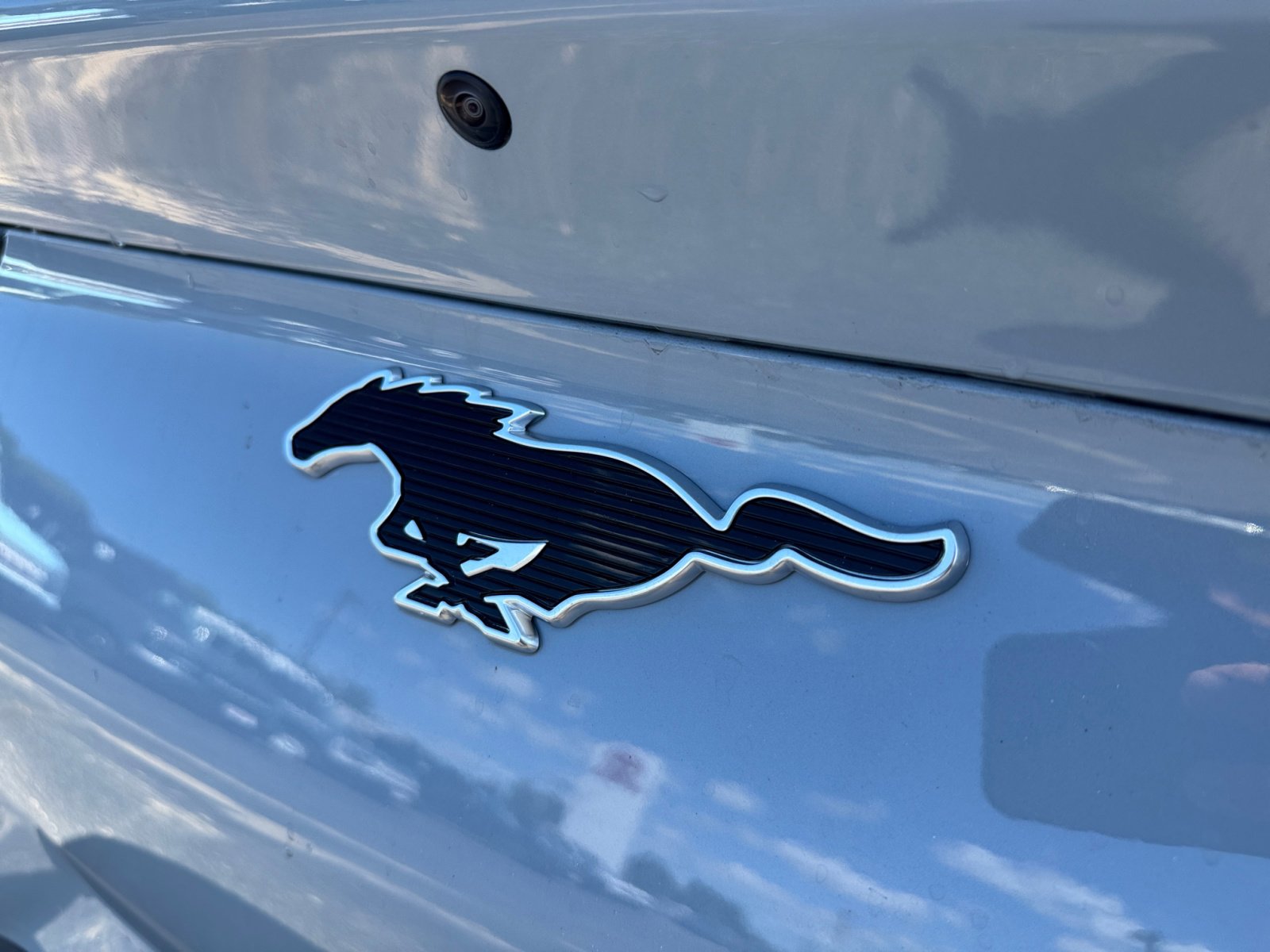 New 2025 Ford Mustang Mach-E Select w/ Comfort Package Lite image 19