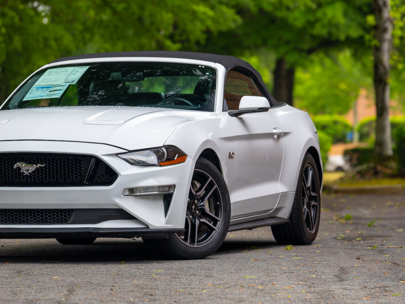 Used 2019 Ford Mustang GT Premium w/ Equipment Group 401A RWD image 28