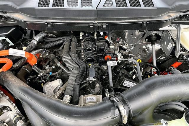 Used 2025 Ford F150 XLT w/ Equipment Group 302A MID AWD/4WD image 32