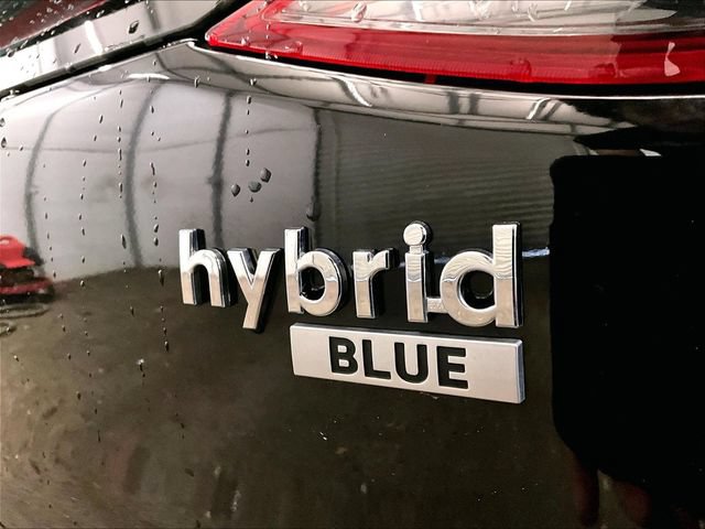 Used 2020 Hyundai Ioniq Blue FWD image 13
