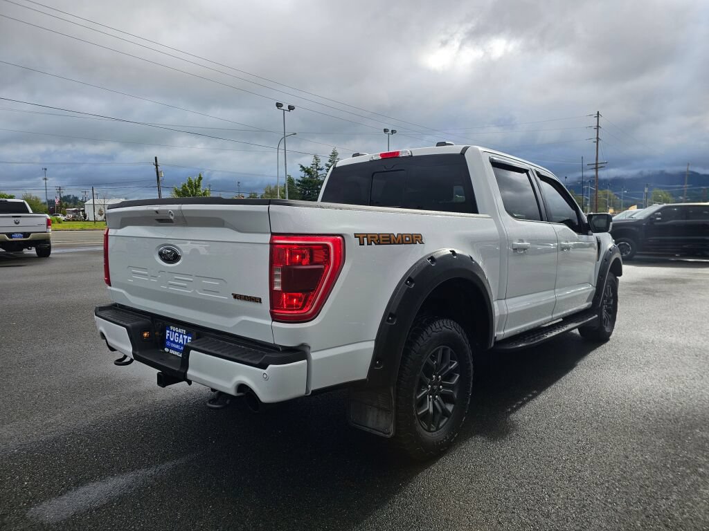 Used 2023 Ford F150 Tremor AWD/4WD image 6