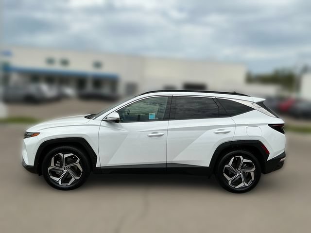 Used 2022 Hyundai Tucson Limited FWD image 2