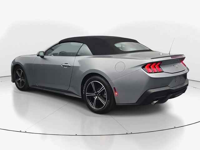 Used 2024 Ford Mustang Premium RWD image 7