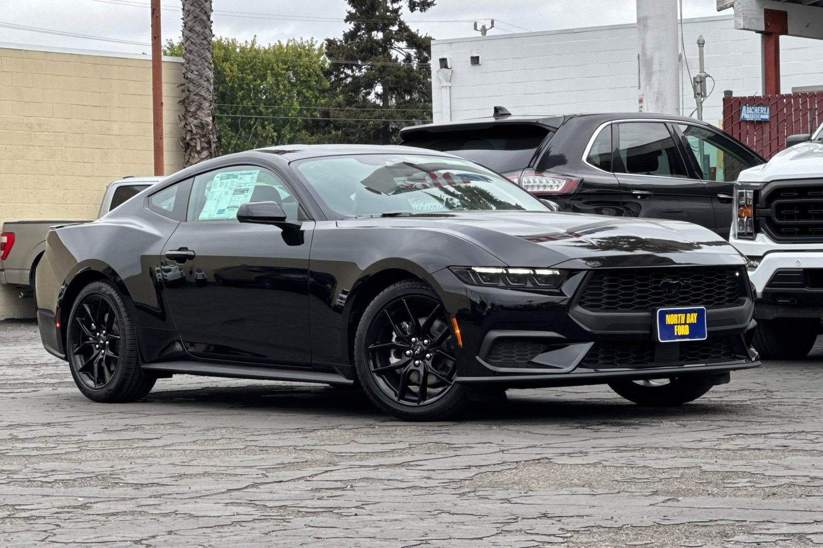 New 2026 Ford Mustang Premium w/ Mustang Nite Pony Package RWD image 31