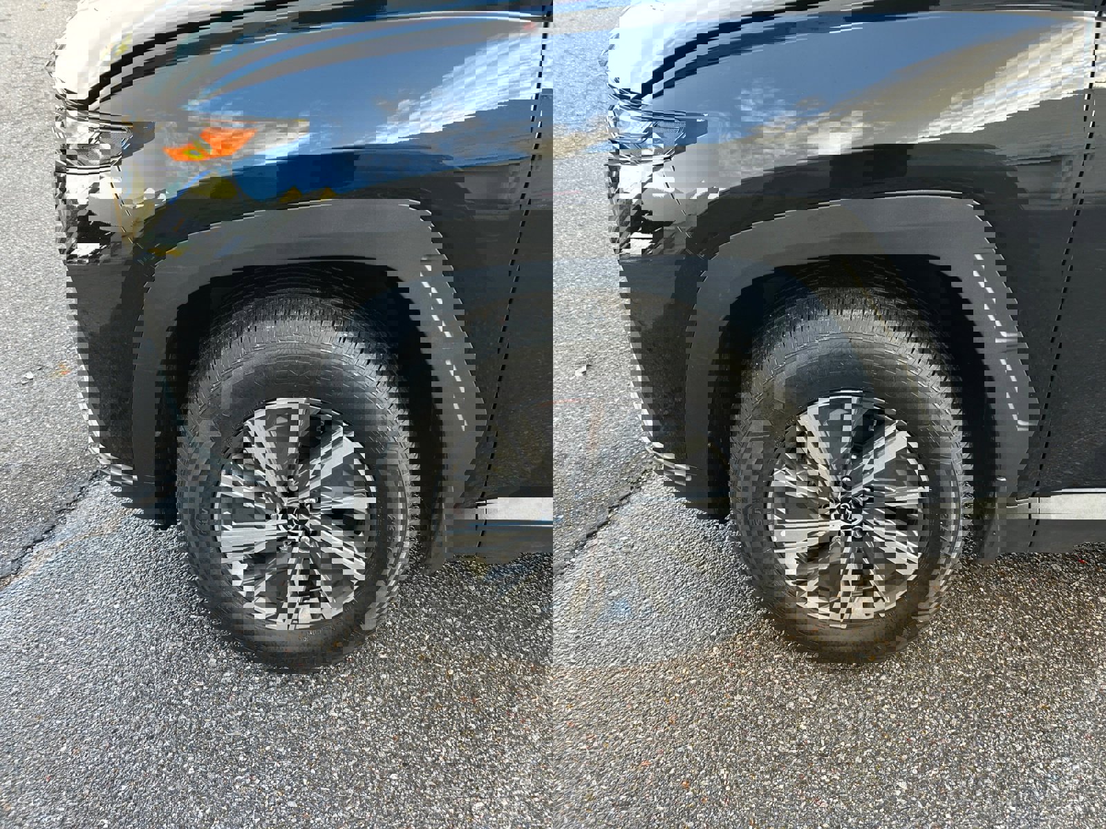 Used 2024 Hyundai Tucson Blue image 11