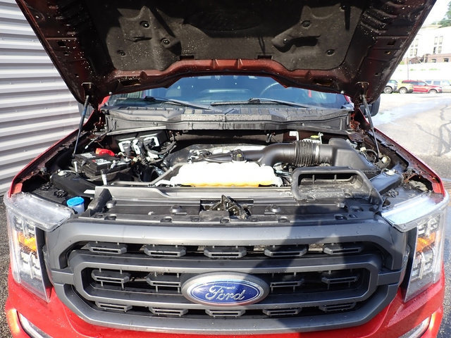Used 2023 Ford F150 XLT w/ Equipment Group 302A High AWD/4WD image 17