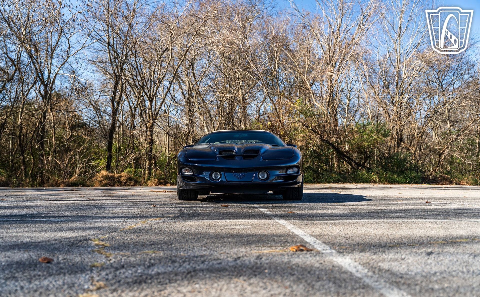 Used 2000 Pontiac Firebird Trans Am image 4