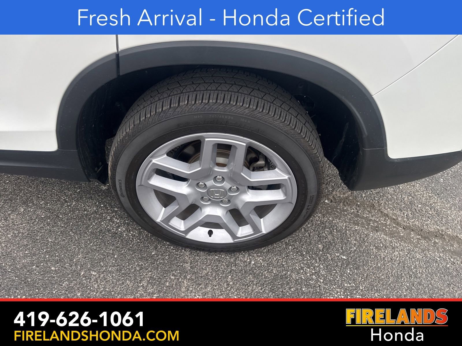 Used 2025 Honda Passport EX-L image 11