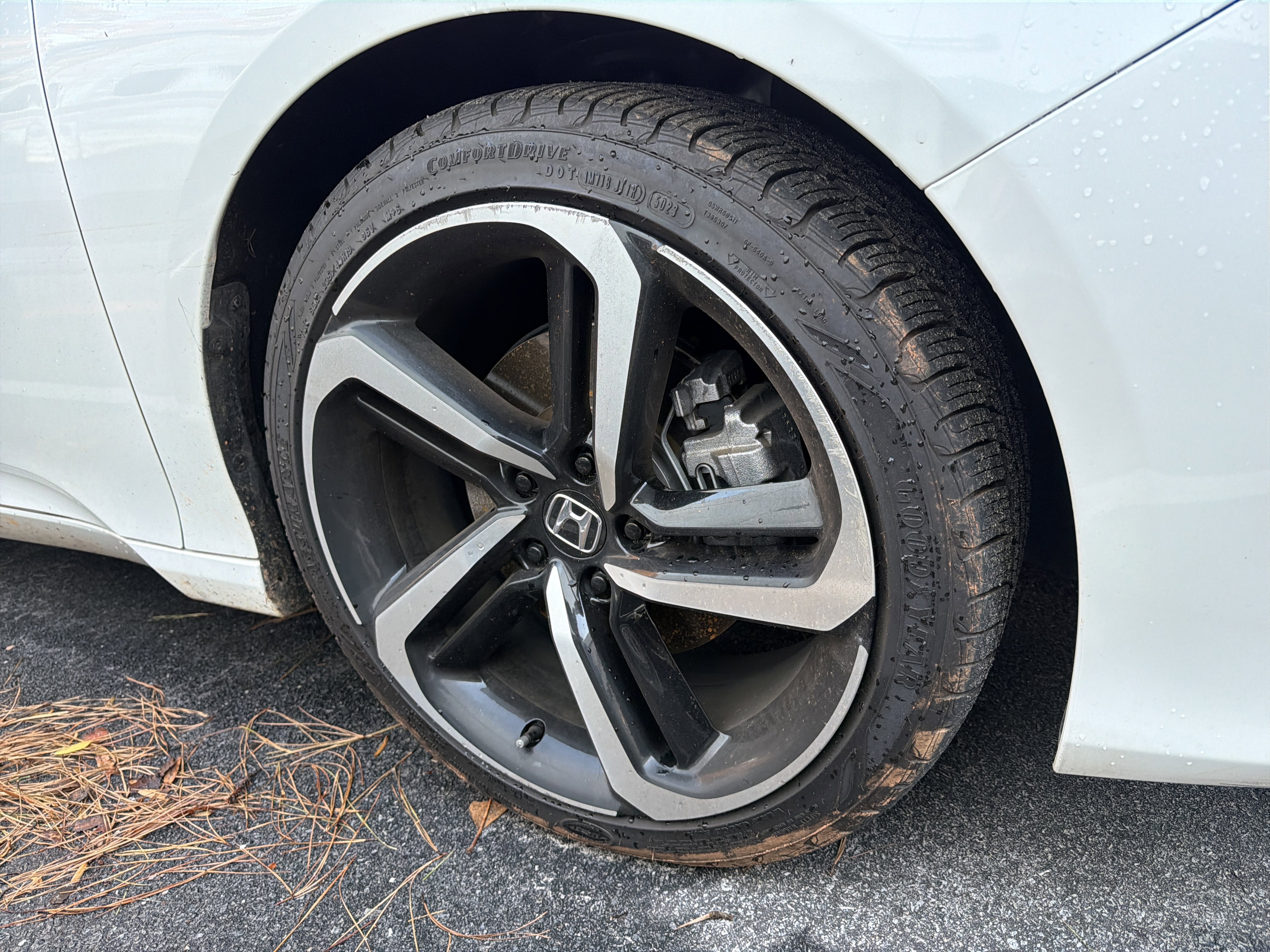 Used 2022 Honda Accord Sport Special Edition image 15