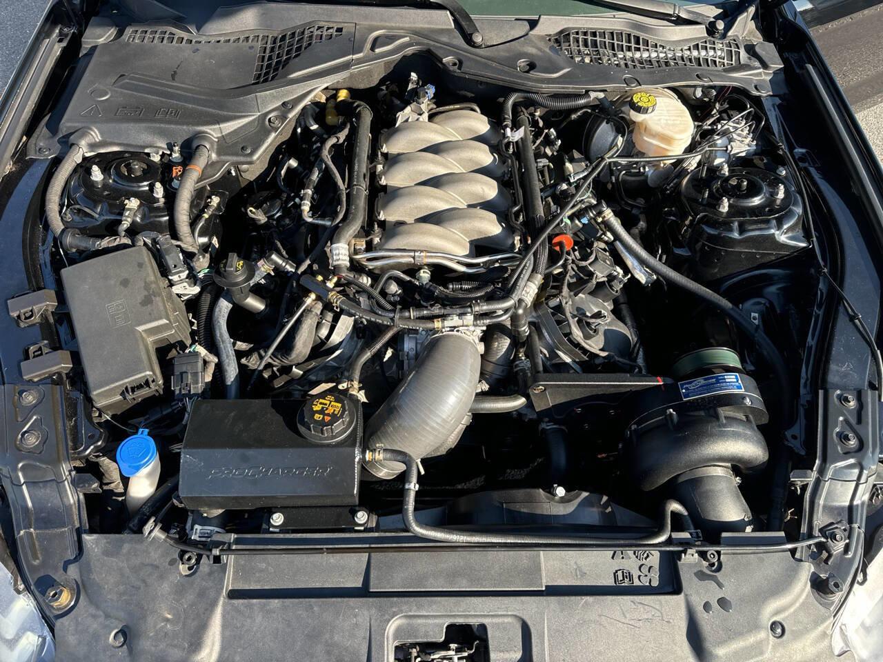 Used 2020 Ford Mustang GT w/ Ford Safe & Smart Package image 33