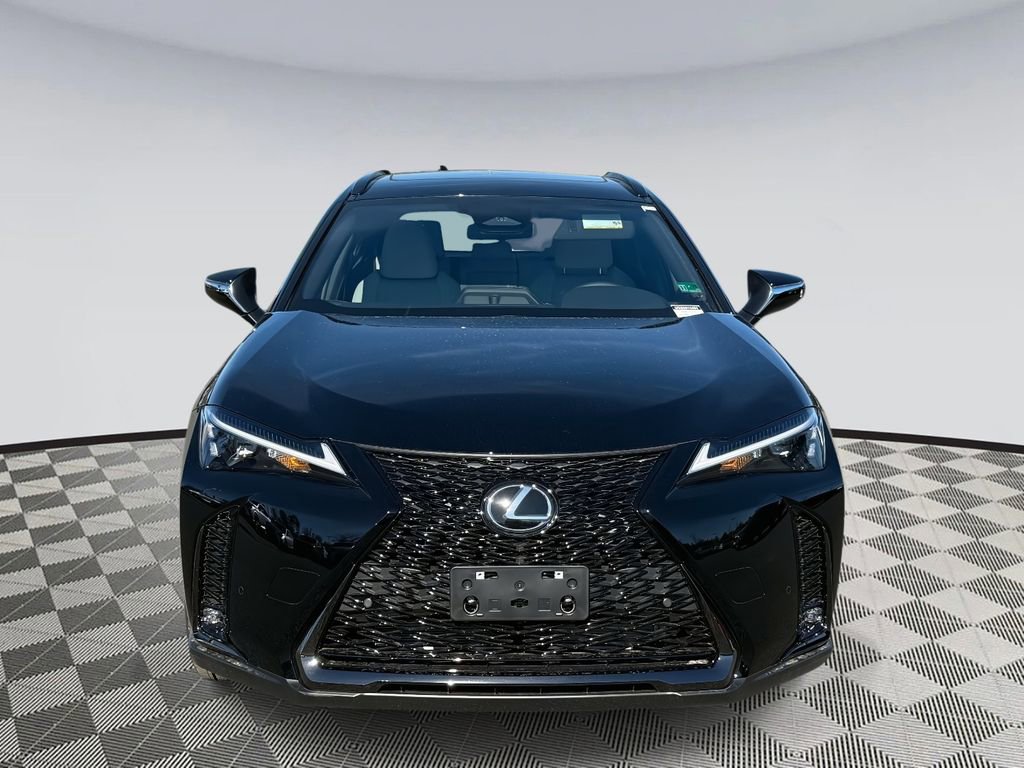 New 2025 Lexus UX 300h AWD image 6
