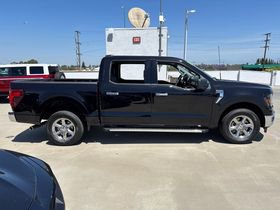 Used 2025 Ford F150 XLT w/ Equipment Group 301A Standard RWD image 3