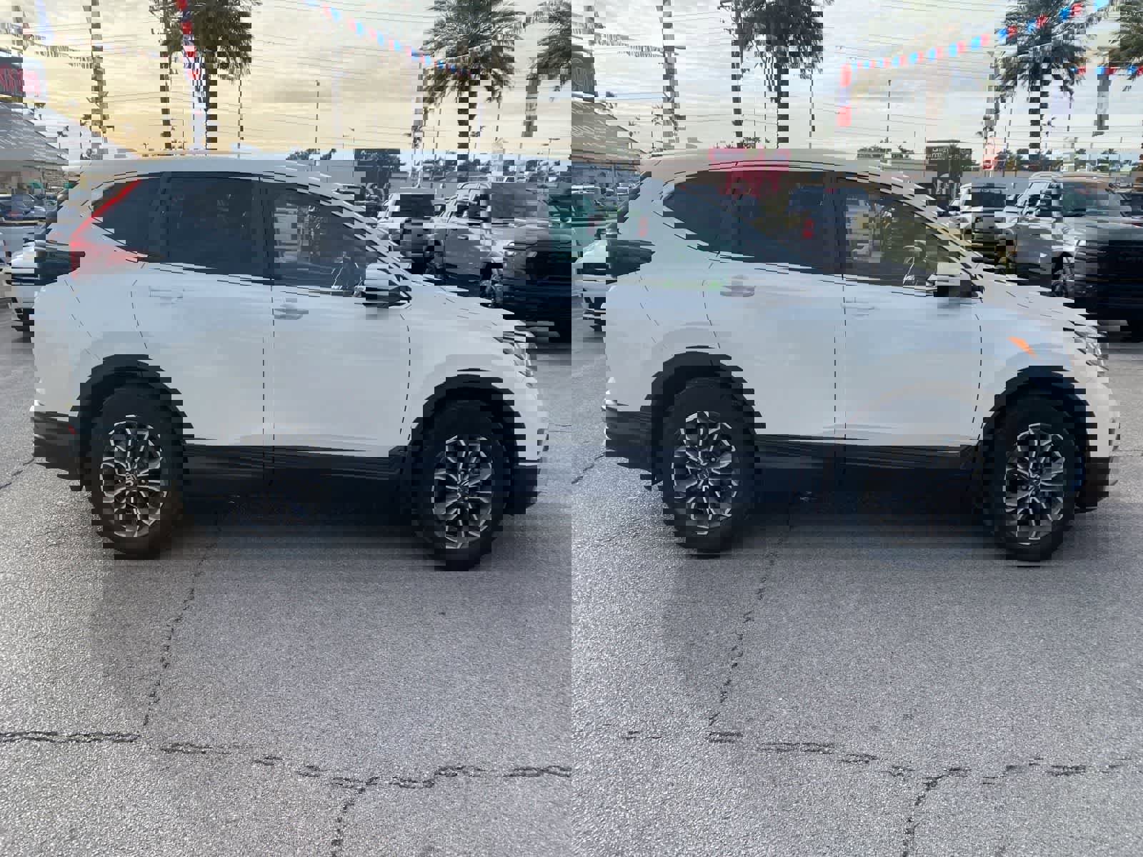 Used 2022 Honda CR-V EX-L image 5