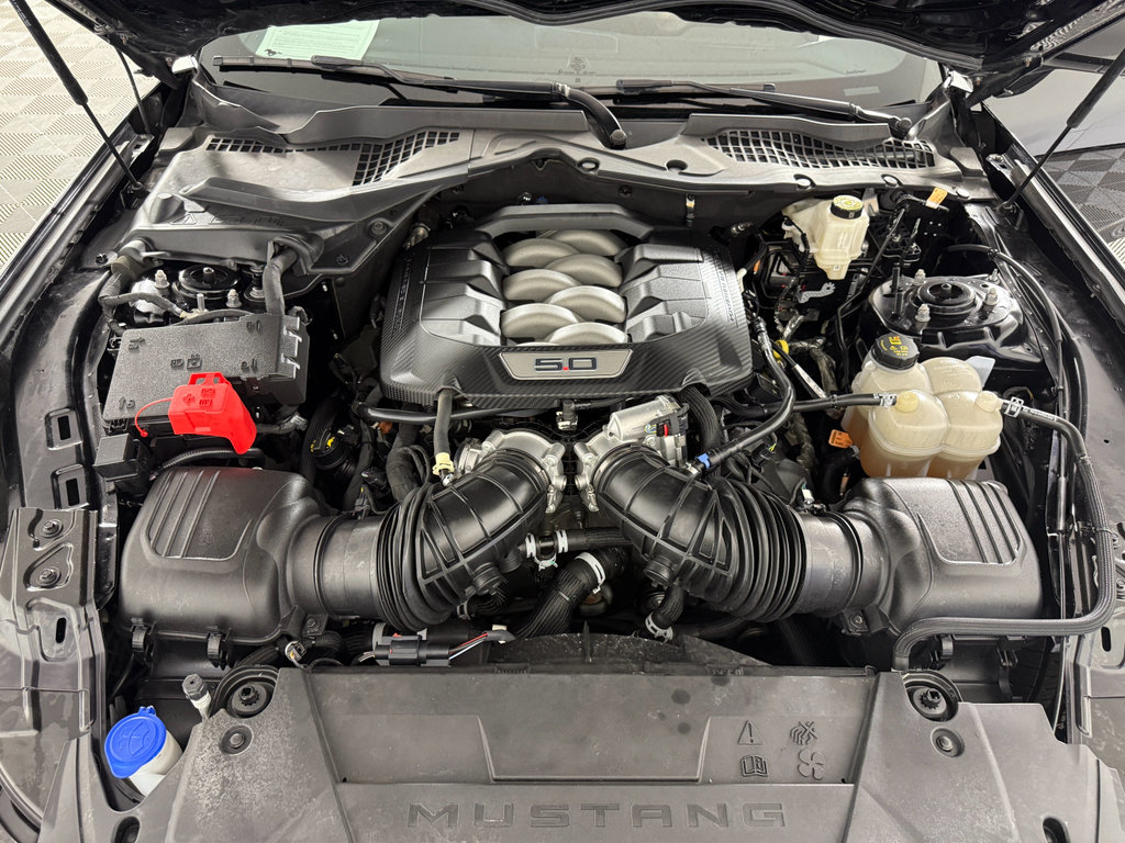 Used 2024 Ford Mustang GT Premium image 24