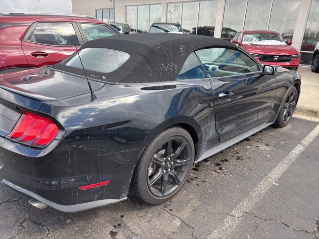 Used 2019 Ford Mustang Premium w/ Black Accent Package image 5