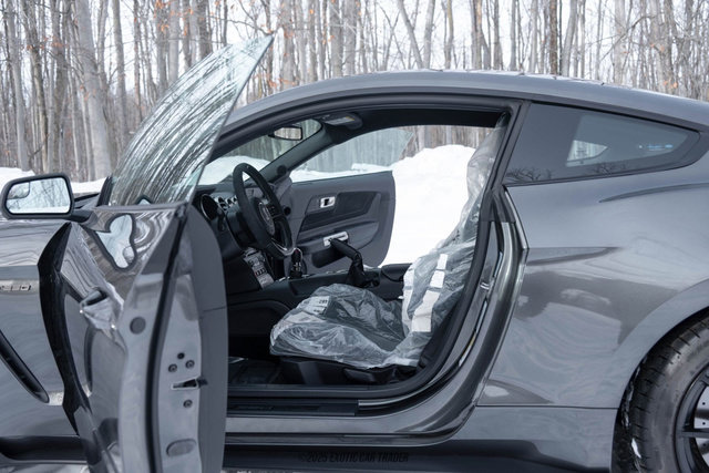 Used 2015 Ford Mustang Shelby GT350 image 28