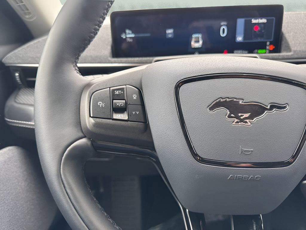 Used 2025 Ford Mustang Mach-E Premium RWD image 14