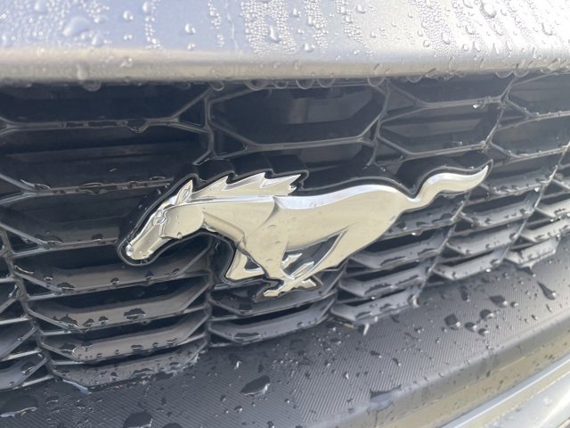 New 2026 Ford Mustang EcoBoost image 27