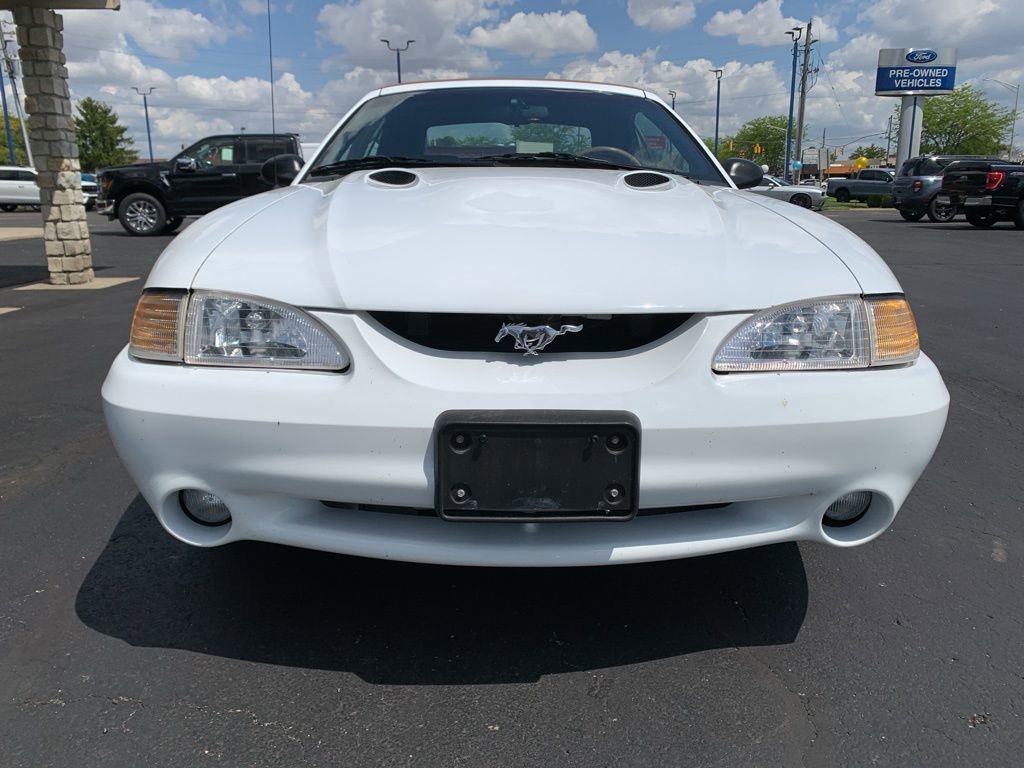 Used 1998 Ford Mustang Cobra RWD image 8