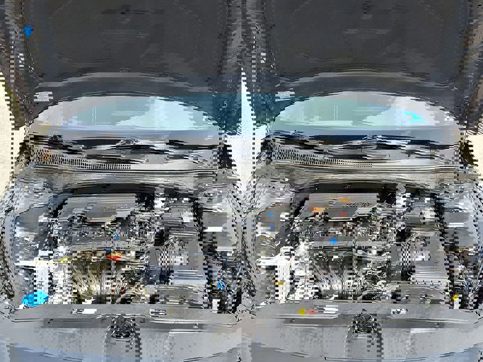 Used 2023 Hyundai Elantra SEL w/ Convenience Package image 30