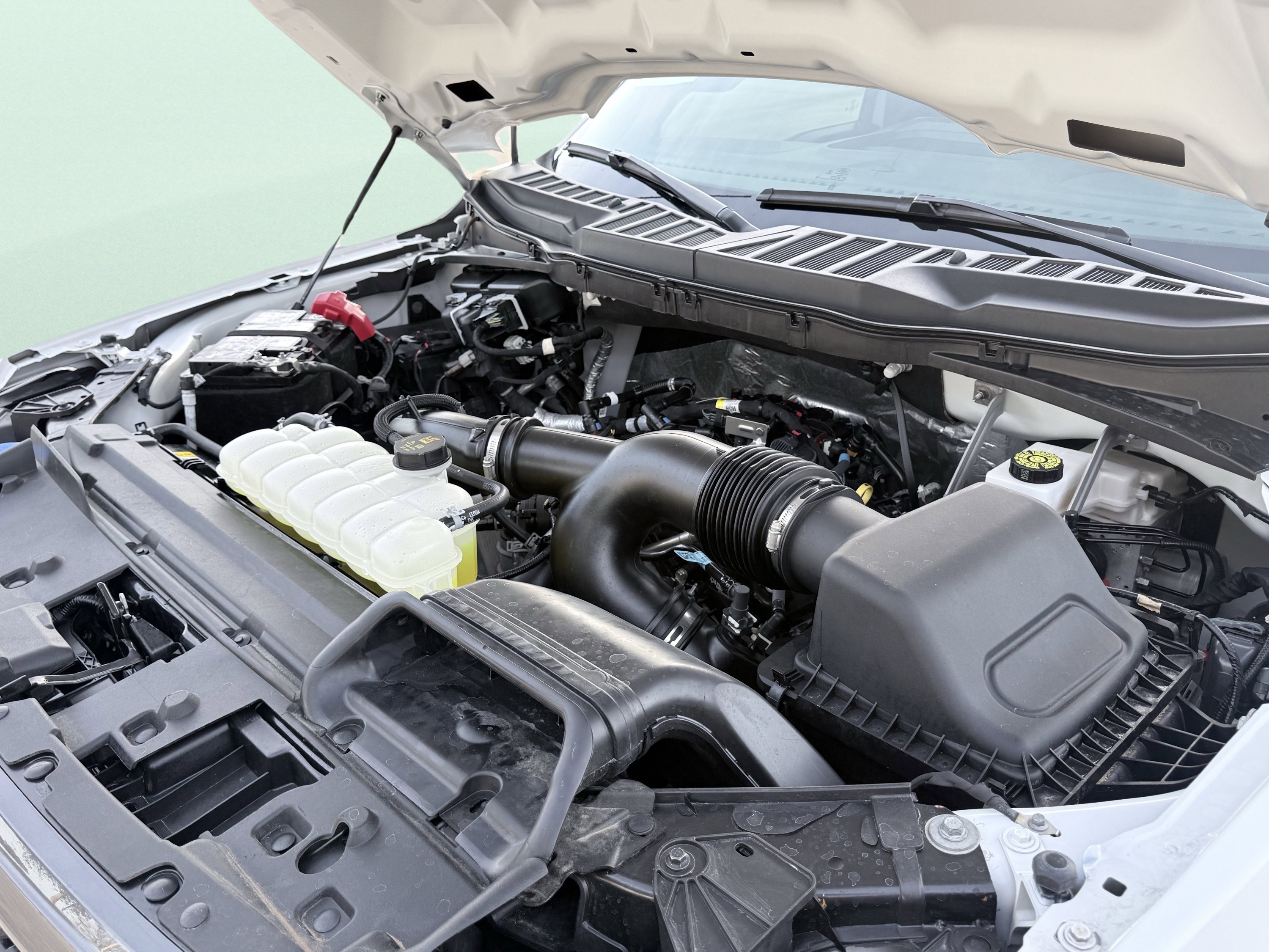 Used 2025 Ford F150 STX image 12