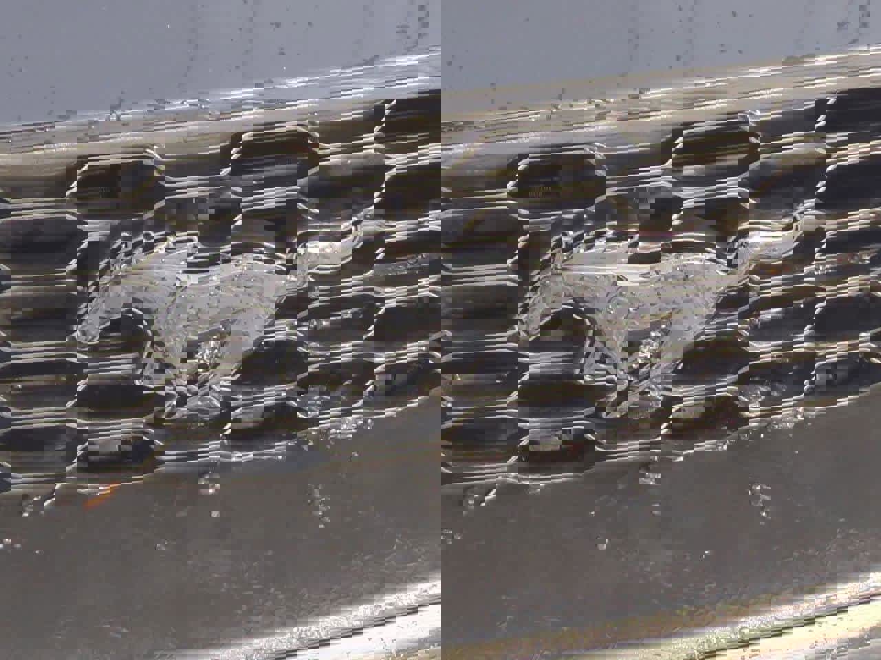 Used 2018 Ford Mustang Coupe image 11