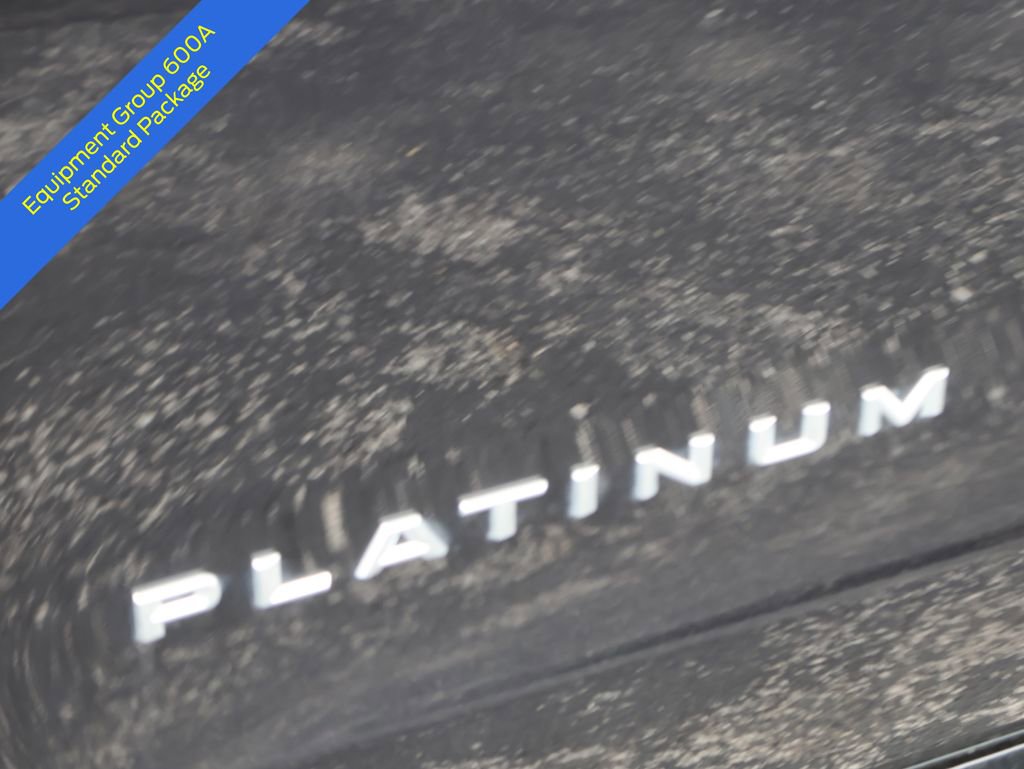 Used 2025 Ford Expedition Platinum AWD/4WD image 4