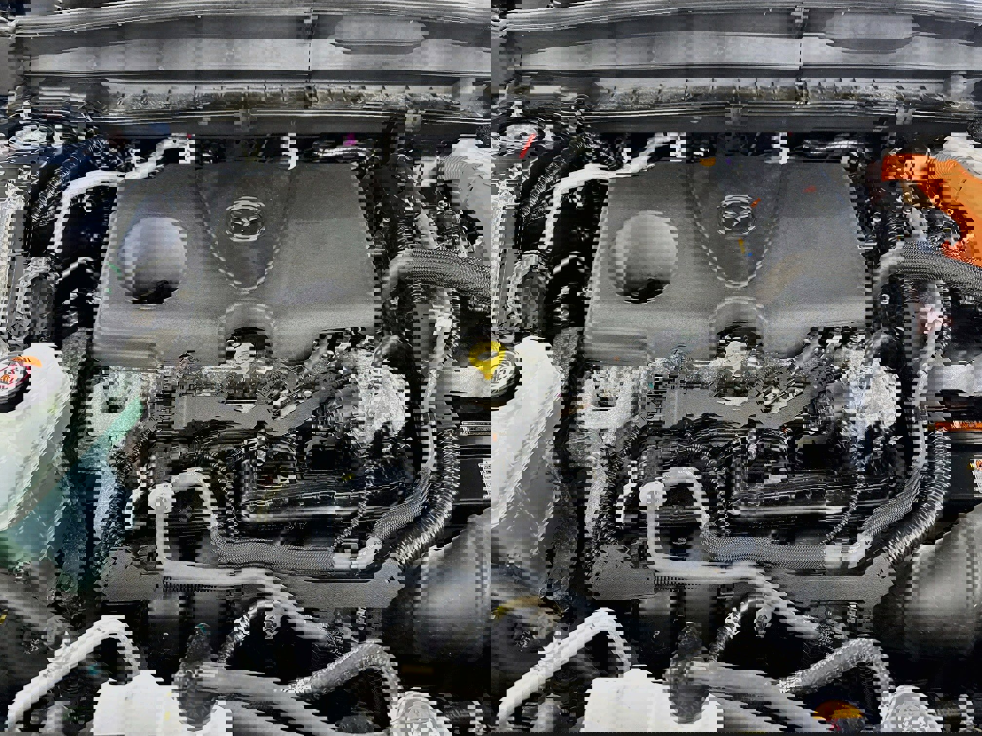 Used 2025 MAZDA CX-50 2.5 Hybrid w/ Premium Plus Pkg image 30