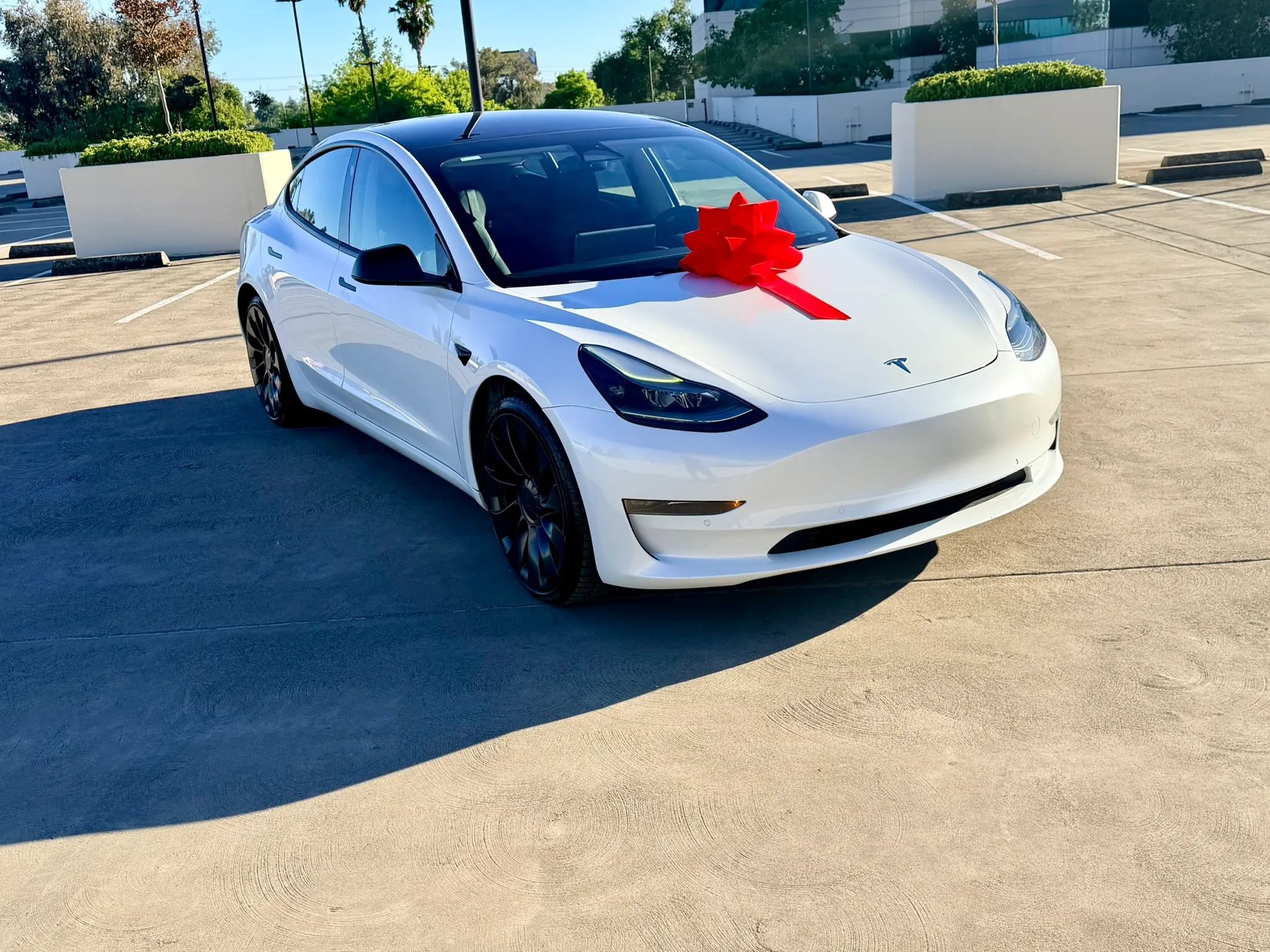 Used 2021 Tesla Model 3 Performance AWD/4WD image 6