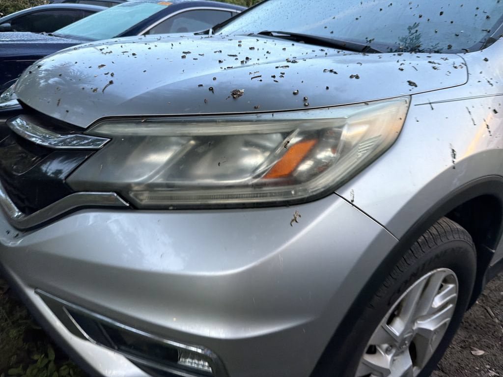 Used 2015 Honda CR-V EX-L image 4