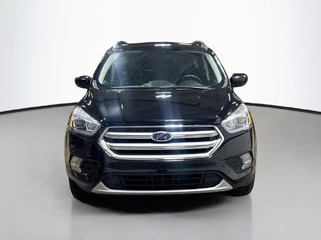 Used 2019 Ford Escape SEL AWD/4WD image 3