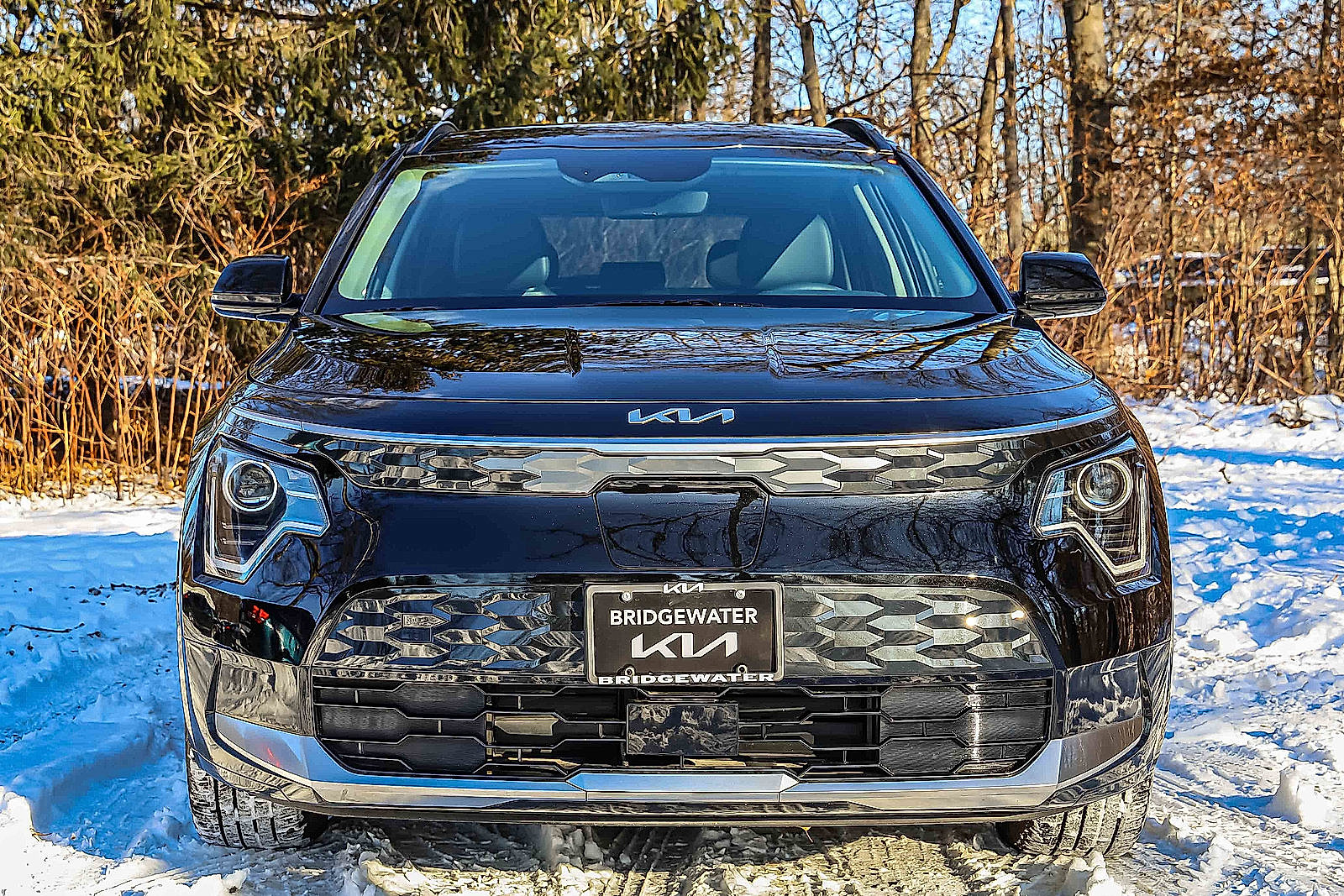 Certified 2024 Kia Niro Wind w/ Wind Preserve Package image 2