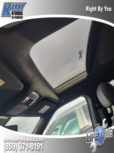 New 2026 Hyundai Palisade Calligraphy image 32