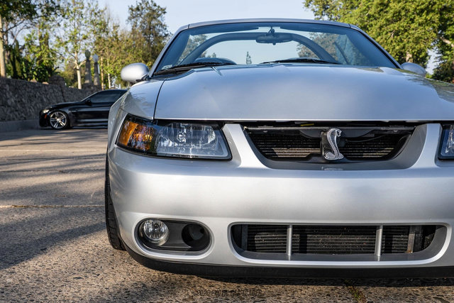 Used 2003 Ford Mustang Cobra RWD image 73