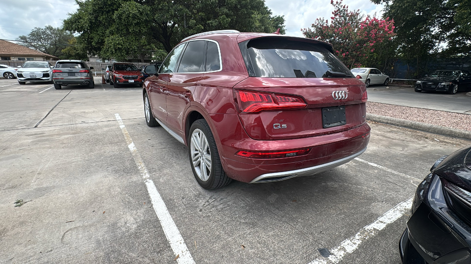 Used 2019 Audi Q5 2.0T Premium Plus w/ Premium Plus Package AWD/4WD image 5