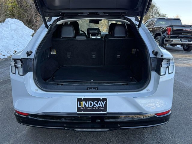 Used 2021 Ford Mustang Mach-E Premium image 12