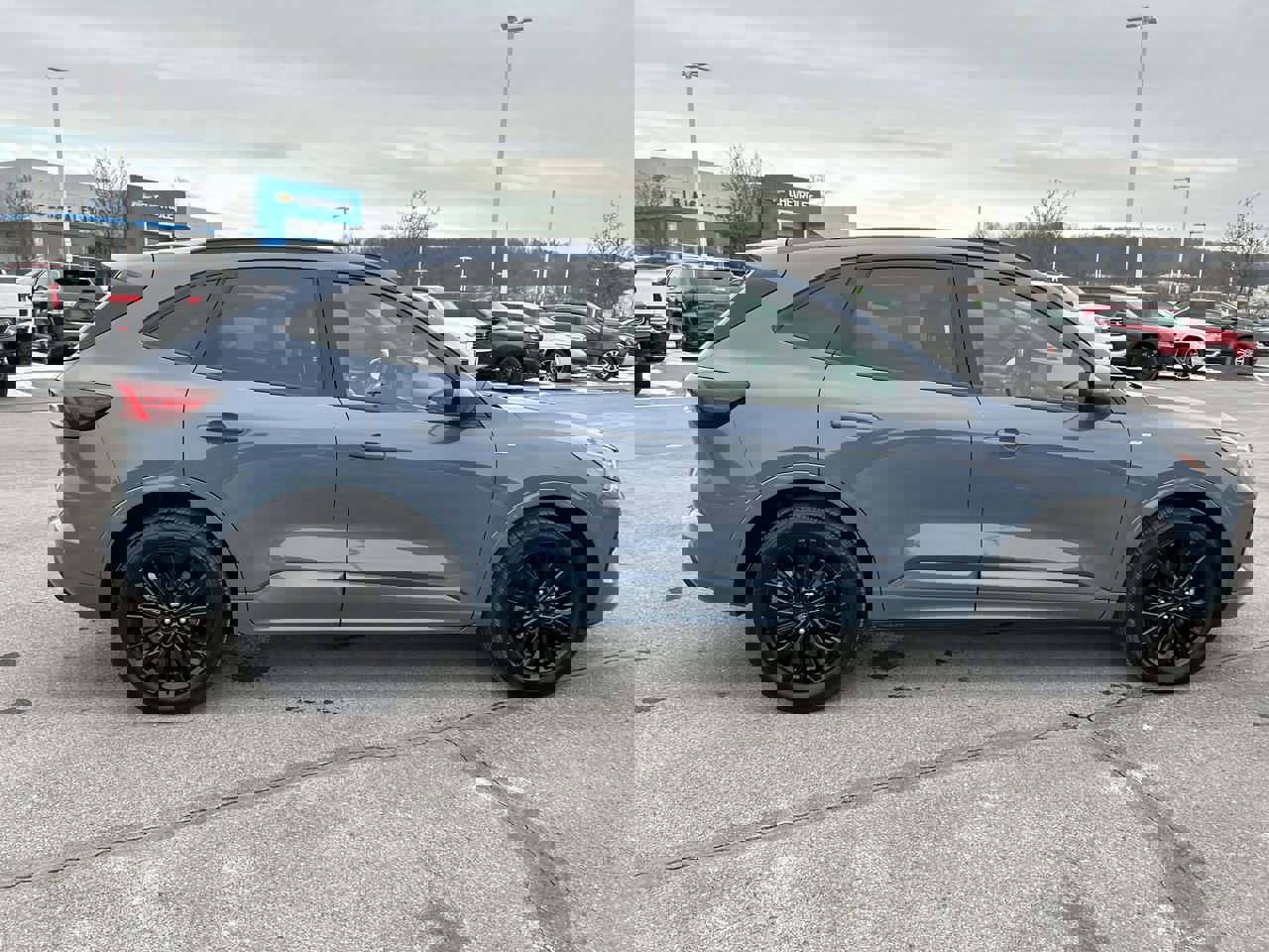 Used 2023 Ford Escape ST-Line Elite image 8