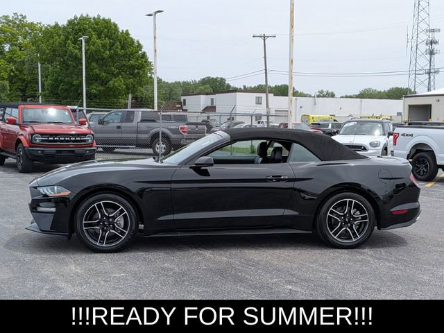 Used 2023 Ford Mustang Premium RWD image 7