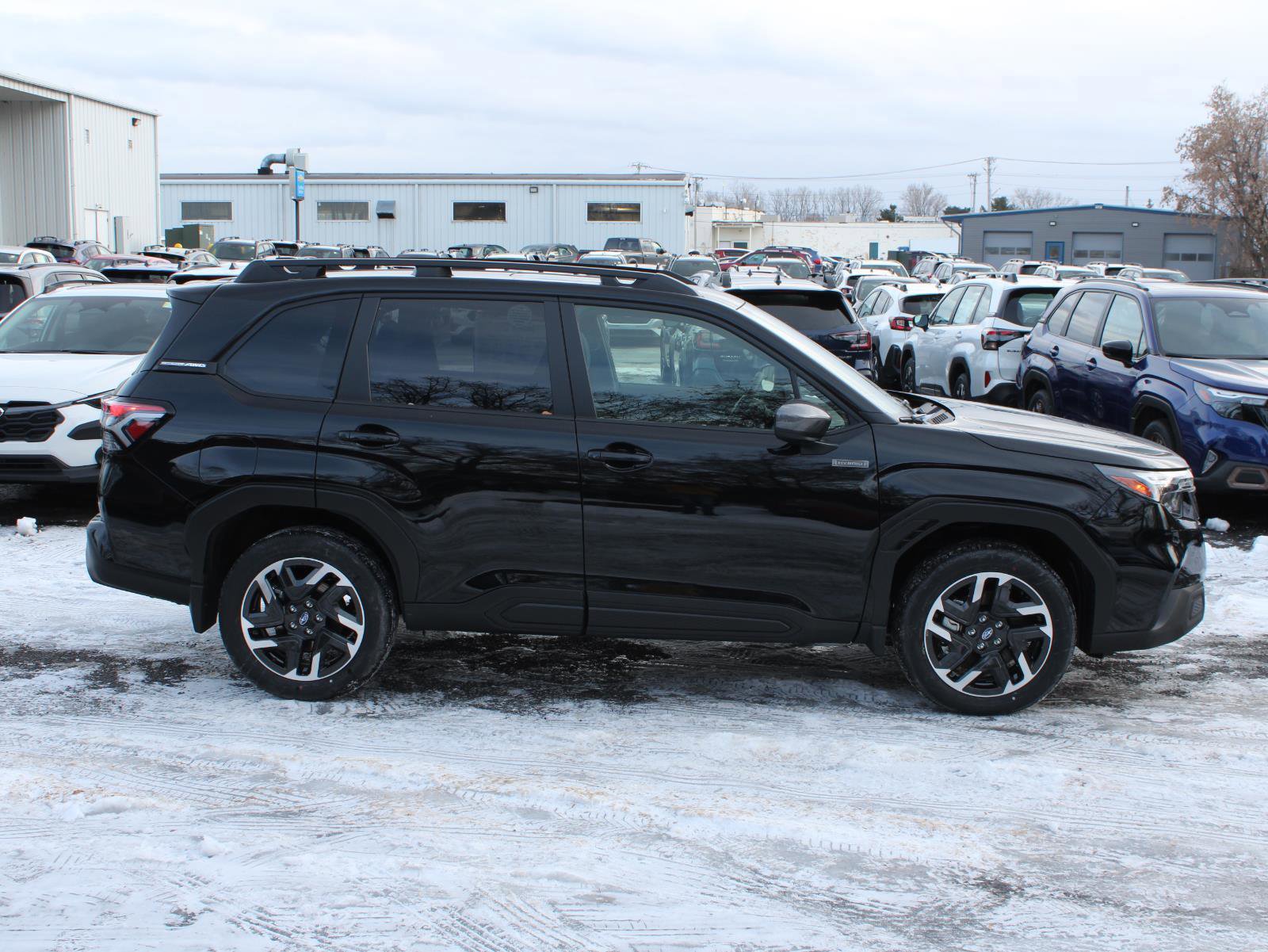 New 2025 Subaru Forester Premium image 4