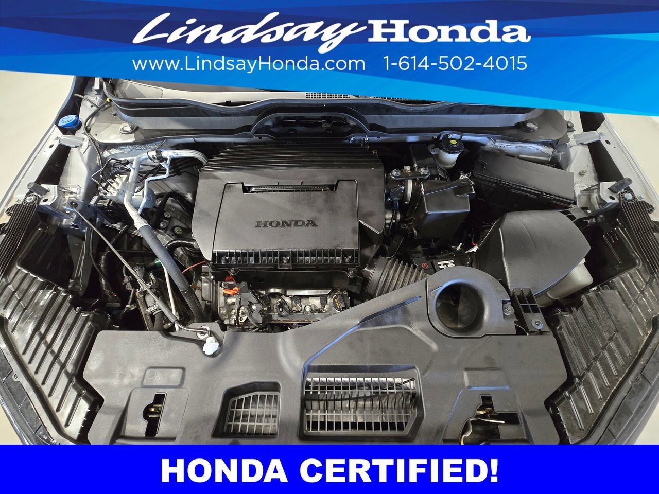 Certified 2025 Honda Pilot TrailSport image 26